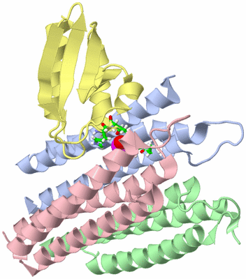 Image NMR Structure - model 1, sites