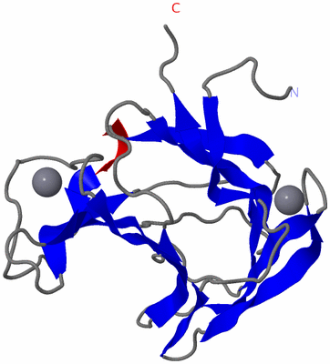 Image NMR Structure - model 1