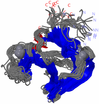 Image NMR Structure - all models