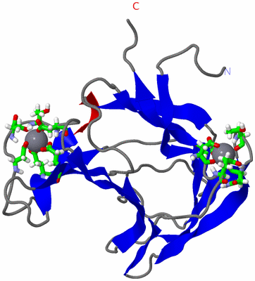 Image NMR Structure - model 1, sites