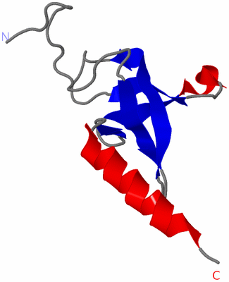 Image NMR Structure - model 1