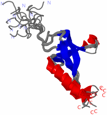 Image NMR Structure - all models