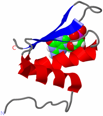 Image NMR Structure - model 1