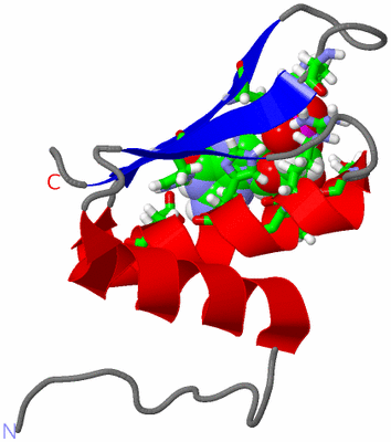 Image NMR Structure - model 1, sites