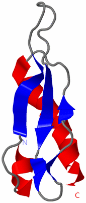 Image NMR Structure - model 1
