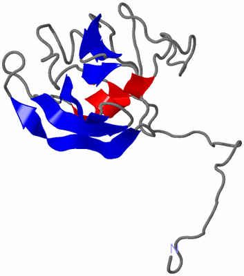 Image NMR Structure - model 1