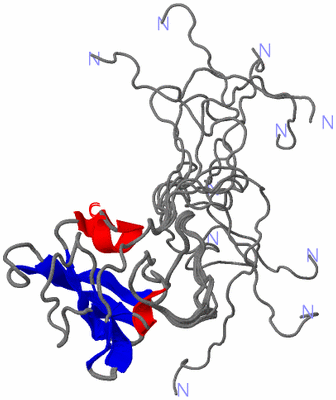 Image NMR Structure - all models