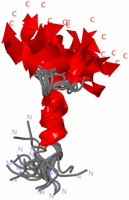 Image NMR Structure - all models