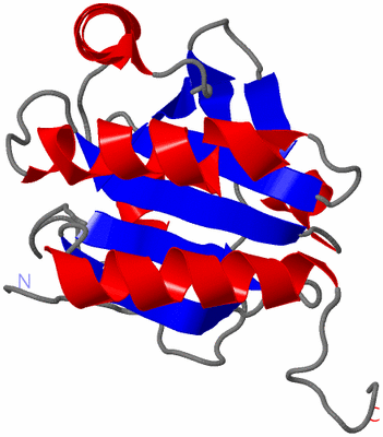 Image NMR Structure - model 1