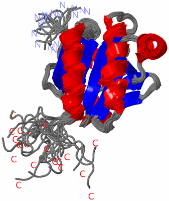 Image NMR Structure - all models