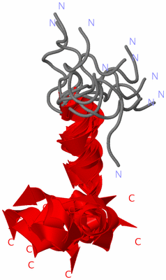 Image NMR Structure - all models