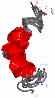 Image NMR Structure - all models