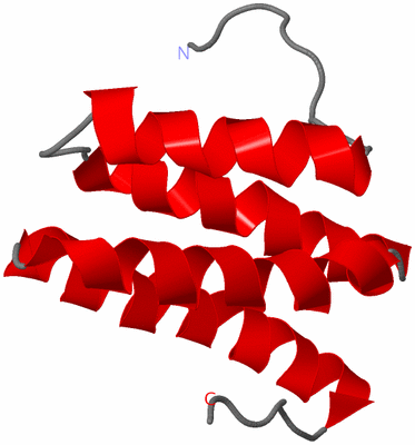 Image NMR Structure - model 1