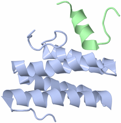 Image NMR Structure - model 1