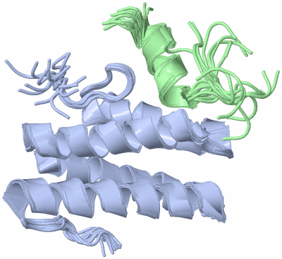 Image NMR Structure - all models