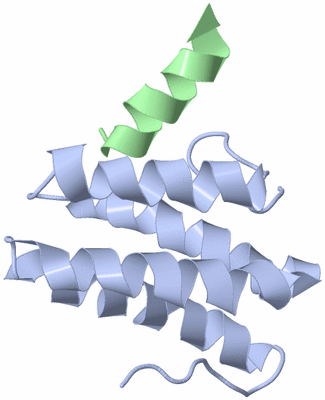 Image NMR Structure - model 1