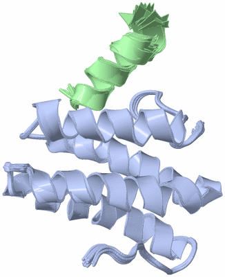 Image NMR Structure - all models