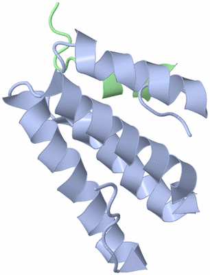 Image NMR Structure - model 1