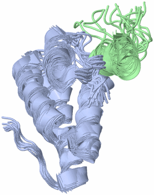 Image NMR Structure - all models