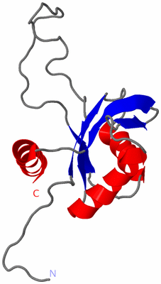 Image NMR Structure - model 1