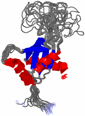 Image NMR Structure - all models