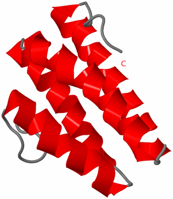 Image NMR Structure - model 1