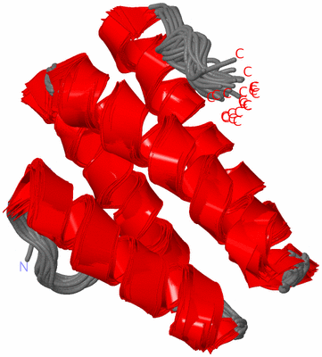 Image NMR Structure - all models