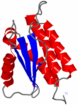 Image NMR Structure - model 1