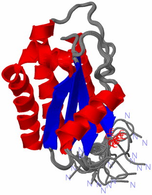 Image NMR Structure - all models