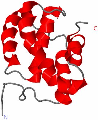 Image NMR Structure - model 1