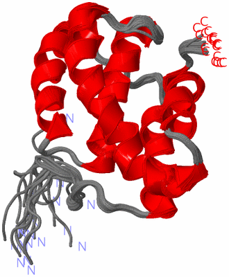 Image NMR Structure - all models