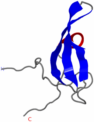 Image NMR Structure - model 1