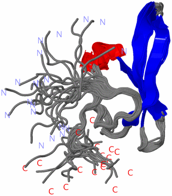 Image NMR Structure - all models