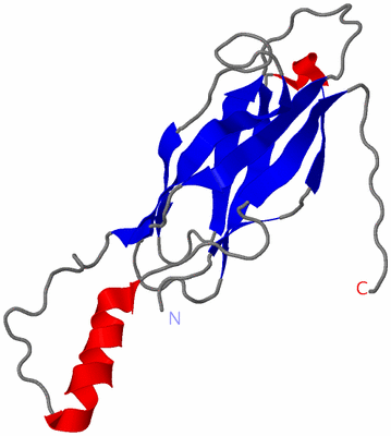 Image NMR Structure - model 1