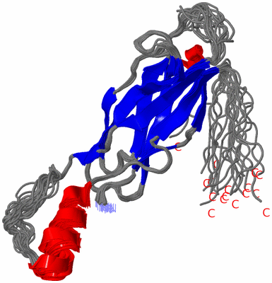 Image NMR Structure - all models