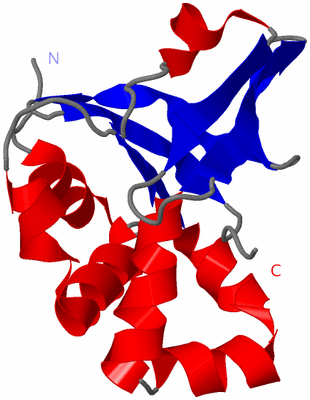 Image NMR Structure - model 1