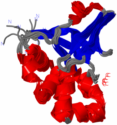 Image NMR Structure - all models