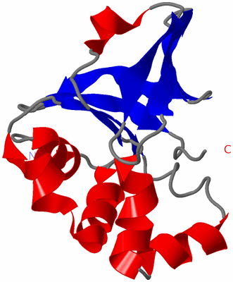 Image NMR Structure - model 1