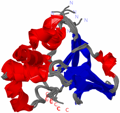 Image NMR Structure - all models