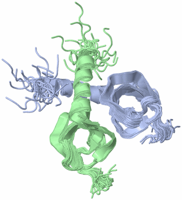 Image NMR Structure - all models