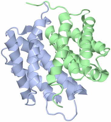 Image NMR Structure - model 1