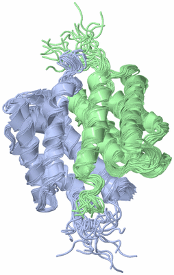 Image NMR Structure - all models