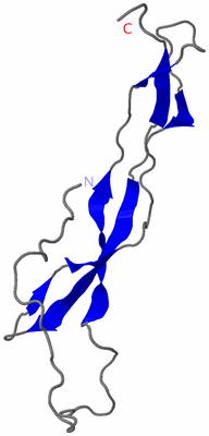 Image NMR Structure - model 1