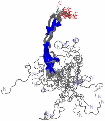 Image NMR Structure - all models