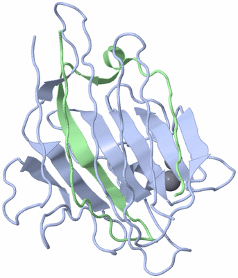 Image Biological Unit 3