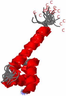 Image NMR Structure - all models