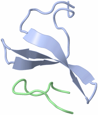 Image NMR Structure - model 1