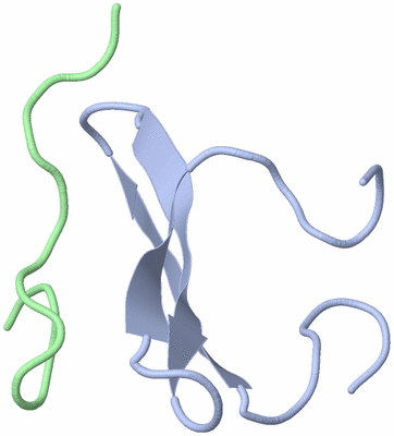 Image NMR Structure - model 1