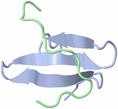 Image NMR Structure - model 1