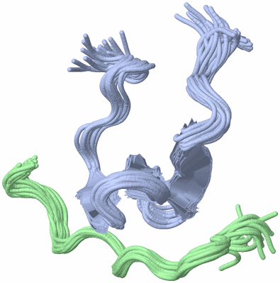 Image NMR Structure - all models